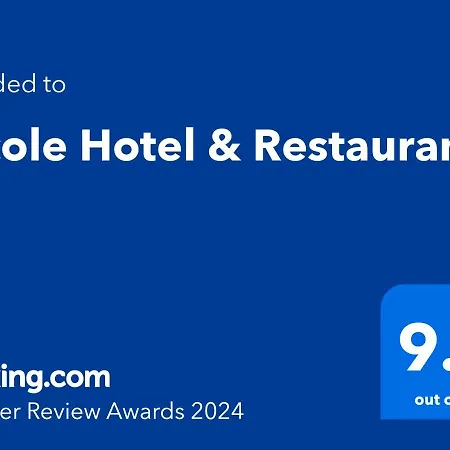 酒店 Nicole & Restaurant 萨莫科夫